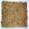 Anise Seed