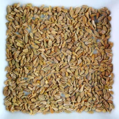 Anise Seed