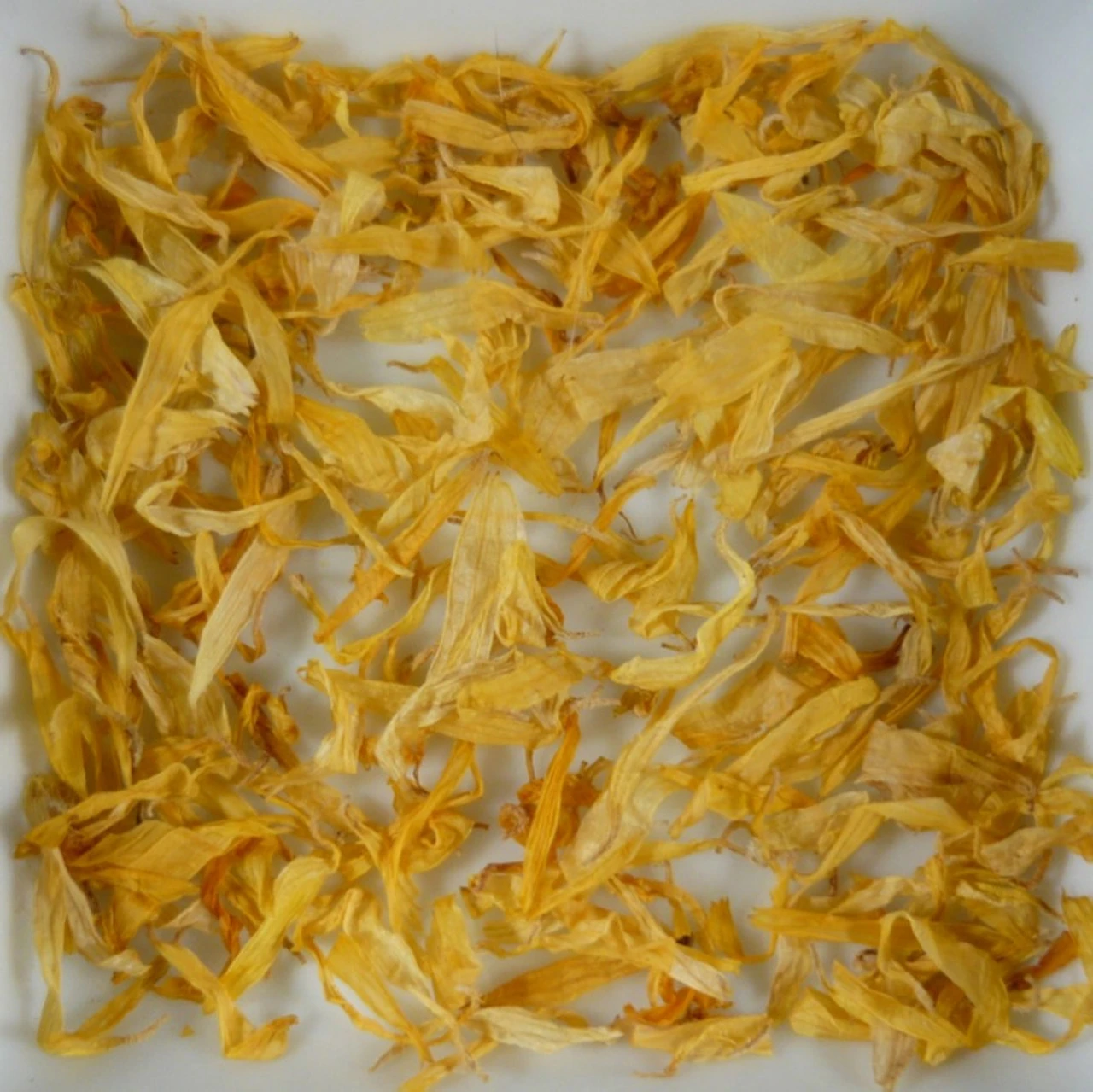 Marigold Petals 1 Marigold Petals