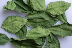 Angkor Food Makrut (Kaffir) Lime Leaves -Food And Beverage Store angkor food makrut kaffir lime leaves angkor food 28277344075833