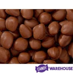 Brach's Double Dippers Milk Chocolate Covered Peanuts: 12-Ounce Bag 8 Brach's Double Dippers Milk Chocolate Covered Peanuts: 12-Ounce Bag -Food And Beverage Store brach s double dippers milk chocolate covered peanuts 12 ounce bag candy warehouse 4 7a6bd210 22d2 46b8 86dc 4fa28e85147b