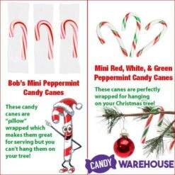 Brach's Peppermint Mini Candy Canes: 500-Piece Tub -Food And Beverage Store brach s peppermint mini candy canes 500 piece tub candy warehouse 4