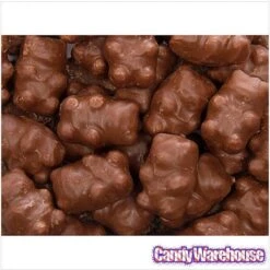 Chocolate Covered Cinnamon Bears: 14-Ounce Bag -Food And Beverage Store chocolate covered cinnamon bears 14 ounce bag candy warehouse 3