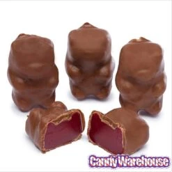Chocolate Covered Cinnamon Bears: 14-Ounce Bag -Food And Beverage Store chocolate covered cinnamon bears 14 ounce bag candy warehouse 4