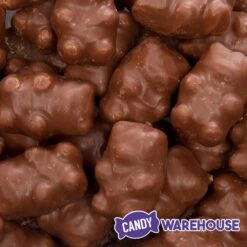 Chocolate Covered Cinnamon Bears: 3LB Bag -Food And Beverage Store chocolate covered cinnamon bears 3lb bag candy warehouse 3 09c9fde5 5480 4125 bc3e 99c47ff0568d