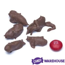 Chocolate Covered Crickets: 100-Piece Tub -Food And Beverage Store chocolate covered crickets 100 piece tub candy warehouse 3