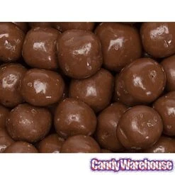 Chocolate Covered S'Moresels: 2LB Bag -Food And Beverage Store chocolate covered s moresels 2lb bag candy warehouse 3