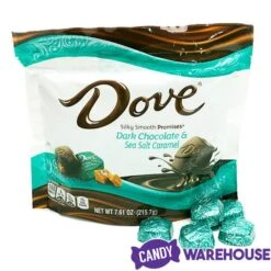 Dove Dark Chocolate Sea Salt Caramel Squares: 28-Piece Bag -Food And Beverage Store dove dark chocolate sea salt caramel squares 28 piece bag candy warehouse 5