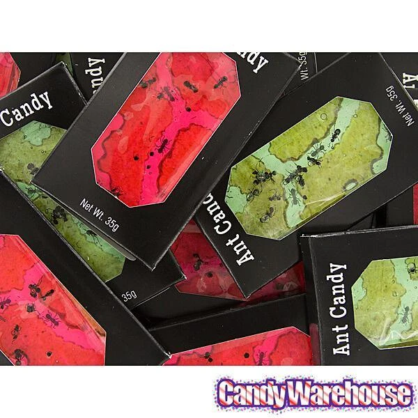 Edible Ant Farm Candy Packs: 24-Piece Box 3 Edible Ant Farm Candy Packs: 24-Piece Box - Image 3