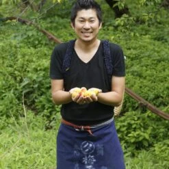 Fukami Organic Umeboshi -Food And Beverage Store fukami organic umeboshi umami insider 28230654099513