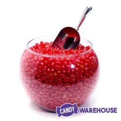 Jelly Belly Sizzling Cinnamon: 10LB Case -Food And Beverage Store jelly belly sizzling cinnamon 10lb case candy warehouse 4