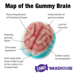 Jelly Filled Gummy Brains: 1KG Bag -Food And Beverage Store jelly filled gummy brains 1kg bag candy warehouse 3