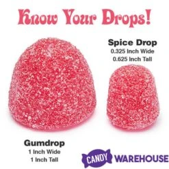 Jumbo Gumdrops Candy: 5LB Bag -Food And Beverage Store jumbo gumdrops candy 5lb bag candy warehouse 4 0840f1f6 a14c 40b8 a375 89b9c6d7583d