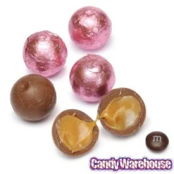 Palmer Foiled Caramel Filled Chocolate Candy Balls - Pink: 5LB Bag -Food And Beverage Store palmer foiled caramel filled chocolate candy balls pink 5lb bag candy warehouse 3 b24f4641 39e7 4bec 9043 65272d384b17
