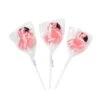 Pink Flamingo Shaped Swirl Pops: 12-Piece Box