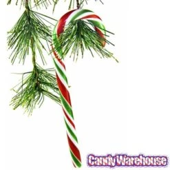 Red - White - Green Peppermint Candy Canes: 18-Piece Box -Food And Beverage Store red white green peppermint candy canes 18 piece box candy warehouse 3