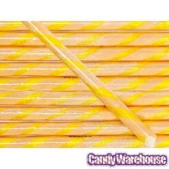 Salted Caramel Hard Candy Sticks: 100-Piece Box -Food And Beverage Store salted caramel hard candy sticks 100 piece box candy warehouse 3