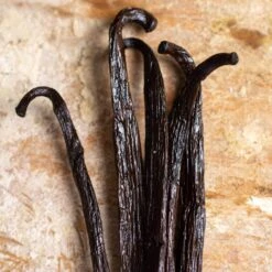SAVA Trading Co. Extract-Grade Madagascar Vanilla Beans -Food And Beverage Store sava trading co extract grade madagascar vanilla beans sava trading co 28276682227769