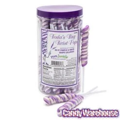 Tesla's Tiny Twist Pops - Grape: 48-Piece Jar -Food And Beverage Store tesla s tiny twist pops grape 48 piece jar candy warehouse 7