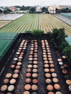 Yun Hai Taiwanese Pantry Pineapple Soy Sauce -Food And Beverage Store yun hai taiwanese pantry pineapple soy sauce yun hai taiwanese pantry 28277083799609